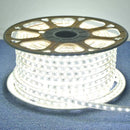 1 a 10 Metros Fita Mangueira Led 5050 Branco Frio/Quente 110v/220v de + Fonte de Alimentação/Rabicho
