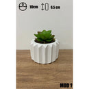 Kit 4 ou 2 Unidades Vaso decorativo de gesso texturizado para Suculentas, Cactus e Plantas
