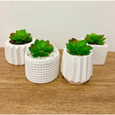 Kit 4 ou 2 Unidades Vaso decorativo de gesso texturizado para Suculentas, Cactus e Plantas