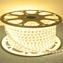 1 a 10 Metros Fita Mangueira Led 5050 Branco Frio/Quente 110v/220v de + Fonte de Alimentação/Rabicho